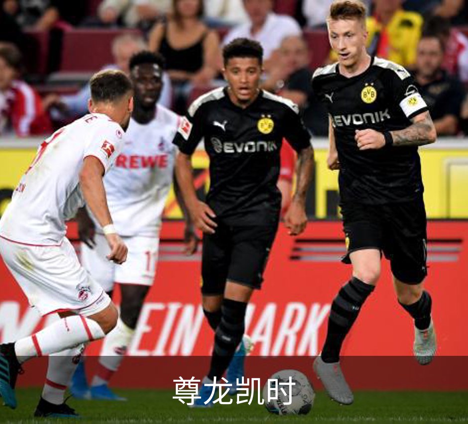 关于尊龙凯时